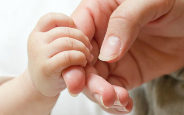 Attachment Theory in Practice